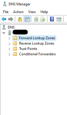 dns console on the primary server