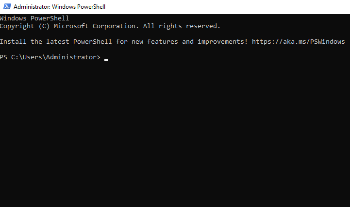 dns powershell administrator prompt