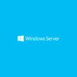 windows server logo header