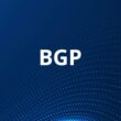 what is bgp used for