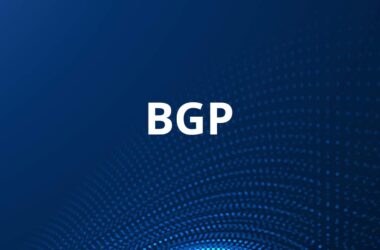 what is bgp used for